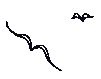 birds
