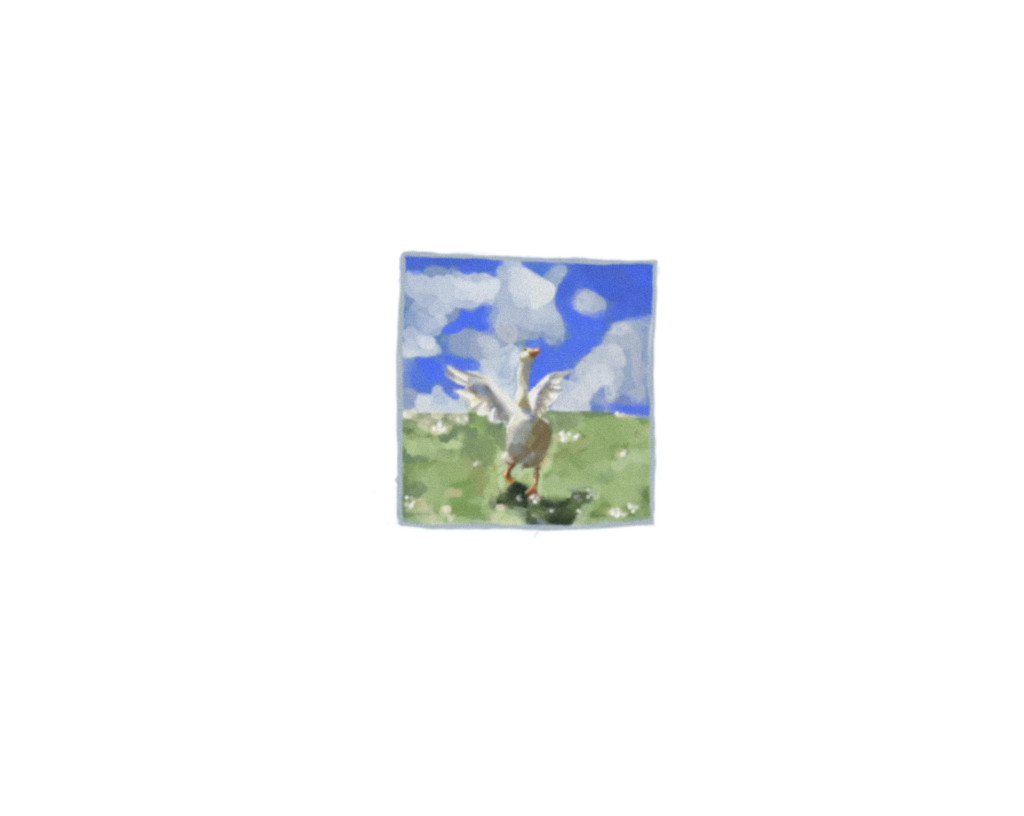 freeduck