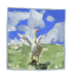 freeduck