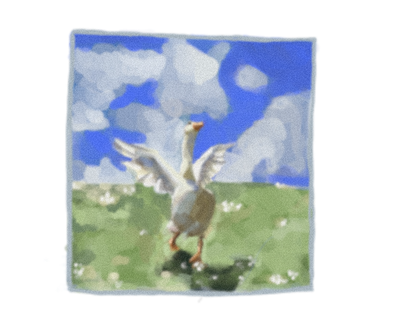 freeduck